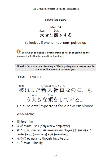 101 Common Japanese Idioms in Plain English - Image 6