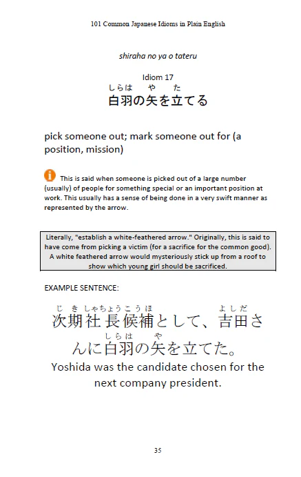 101 Common Japanese Idioms in Plain English - Image 7