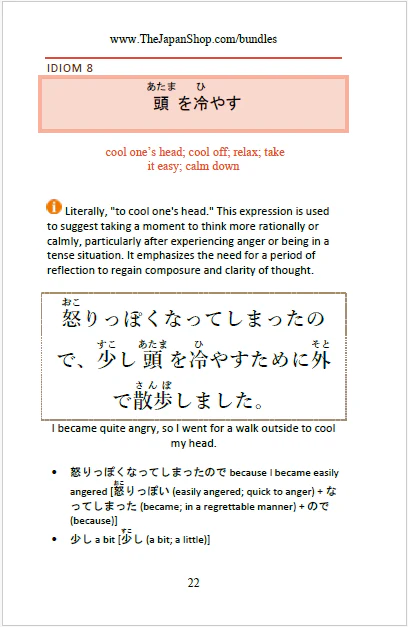 101 Common Japanese Idioms Volume 2 - Image 6