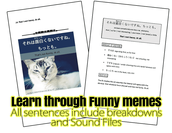 Learn Japanese Vocabulary (10 eBook BUNDLE) [DIGITAL DOWNLOAD] - Image 17